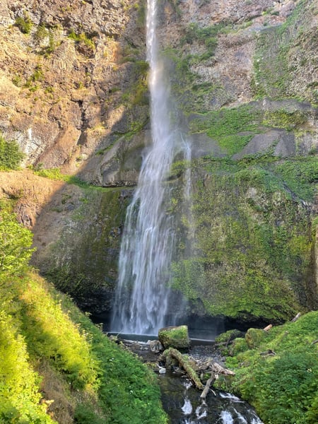 Waterfall cascading down moss-covered basalt canyon walls surrounded by lush vegetation, viewed from the base trail. — Columbia River Gorge