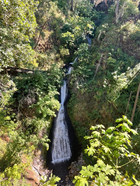 Shepperd's Dell Falls cascades through a narrow forested gorge surrounded by lush vegetation along the Historic… — Columbia River Gorge
