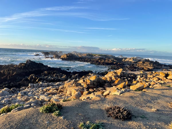 A traveler's photo spot in Pacific Grove Acres, Monterey & Carmel