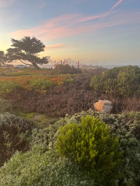 A traveler's photo spot in Pacific Grove Acres, Monterey & Carmel