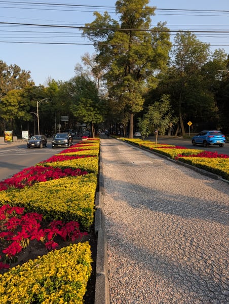 A traveler's photo spot in Polanco, Mexico City