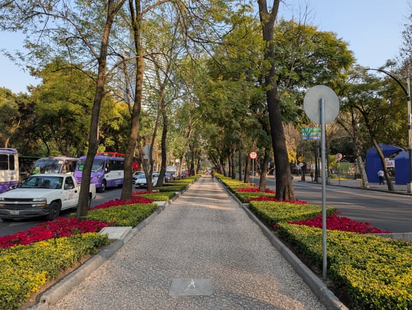 Tree-lined pedestrian promenade with vibrant flower beds and parked vehicles along Calzada General Mariano Escobedo… — San Miguel Chapultepec, Mexico City