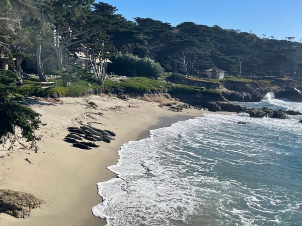 A traveler's photo spot in Del Monte Forest, Monterey & Carmel