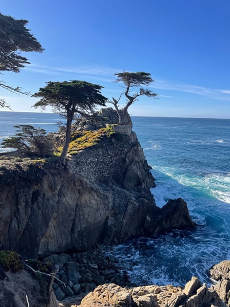 A traveler's photo spot in Del Monte Forest, Monterey & Carmel