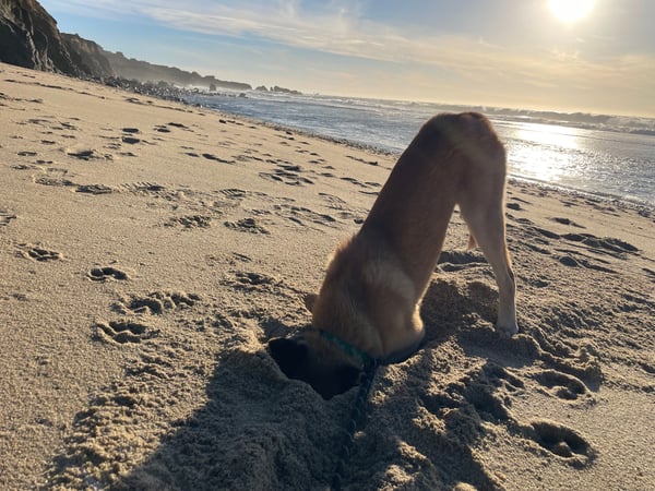 A traveler's photo spot in Monterey County, Monterey & Carmel