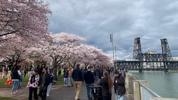 A traveler's photo spot in Old Town, Portland