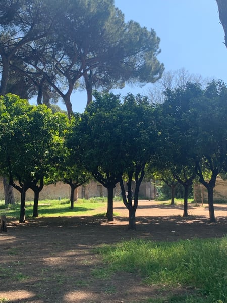 A traveler's photo spot in Ripa, Rome