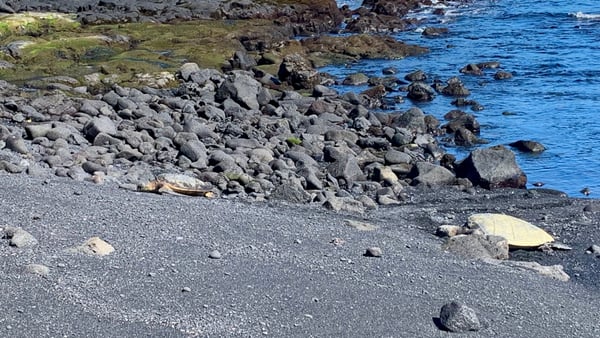 A traveler's photo spot in Hawaiʻi County, Big Island, Hawaii