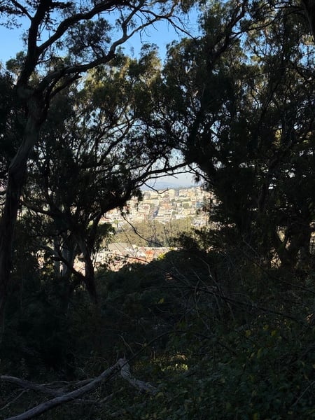 A traveler's photo spot in Haight-Ashbury, San Francisco