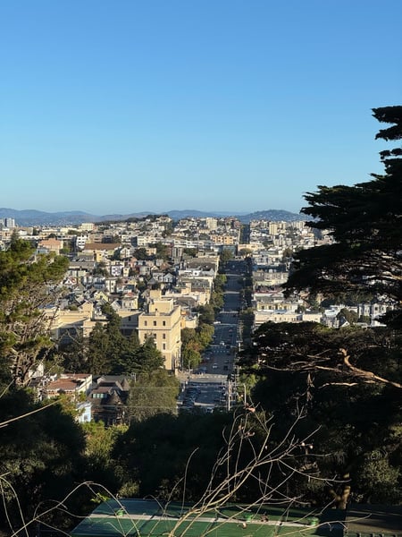 San Francisco cityscape with distant hills viewed from Buena Vista Park, featuring a straight tree-lined street… — Haight-Ashbury, San Francisco