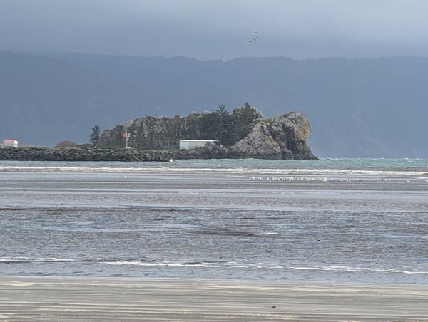 Rocky island with lighthouse structures viewed from a sandy beach in Crescent City, California. — Redwood National Park