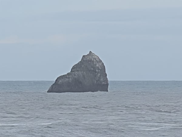 A distinctive rocky sea stack rises from offshore waters viewed from the California coast near Orick. — Redwood National Park