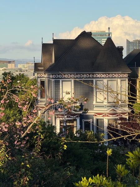 A traveler's photo spot in Alamo Square, San Francisco