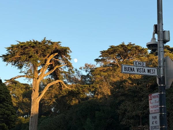 A traveler's photo spot in Haight-Ashbury, San Francisco