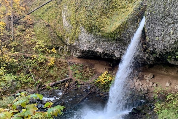 A cascading waterfall flows into a moss-covered canyon with rocky outcrops and dense forest vegetation along the stream. — Columbia River Gorge