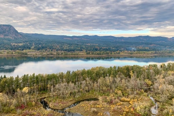 A large lake surrounded by coniferous forest and mountains reflects the sky under partly cloudy conditions, viewed from… — Mount Hood National Forest, Columbia River Gorge