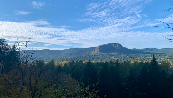 Volcanic peak rising above dense coniferous forest, viewed from a forested overlook in the Cascade Range near Cascade… — Columbia River Gorge