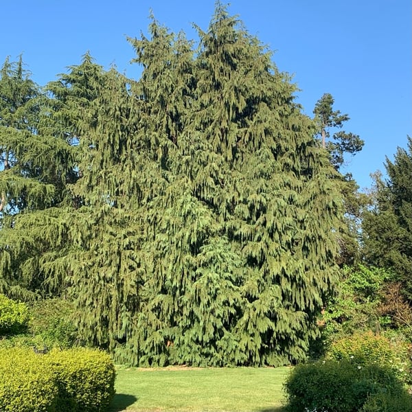 A traveler's photo spot in Phinney Ridge, Seattle