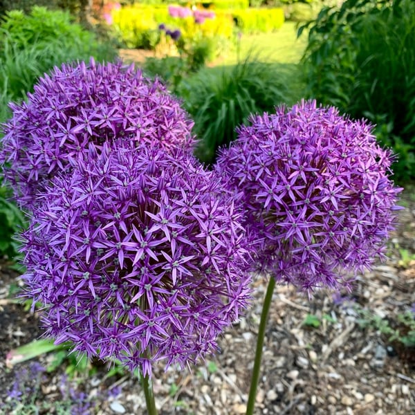A traveler's photo spot in Phinney Ridge, Seattle