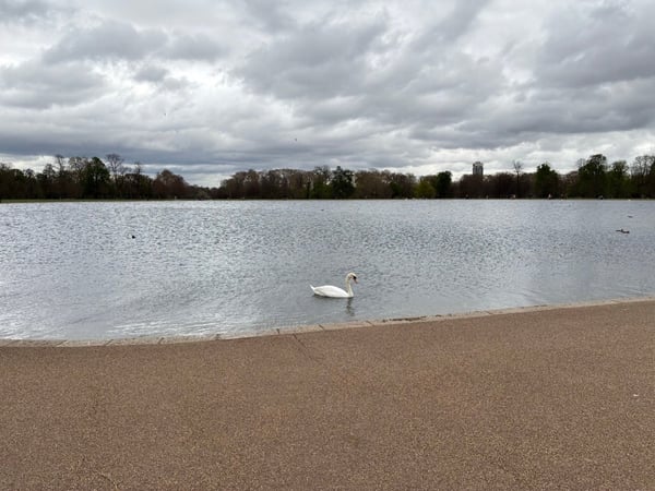 A traveler's photo spot in Bayswater, London