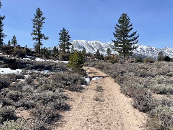 A traveler's photo spot in Mammoth Lakes & the Eastern Sierra