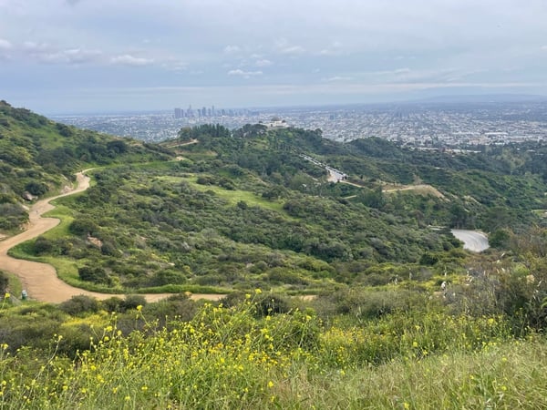 A traveler's photo spot in Los Feliz Neighborhood Council District, Los Angeles