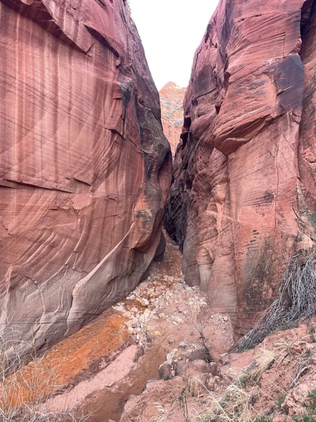 Narrow red sandstone slot canyon with layered walls and sandy floor, viewed from within the canyon looking outward. — The Wave Trail, Kanab & The Wave