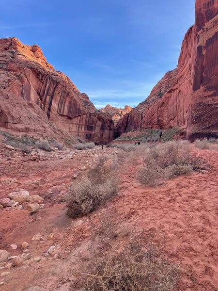 Red rock canyon with towering columnar basalt formations viewed from a desert trail floor in Utah. — The Wave Trail, Kanab & The Wave