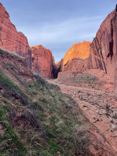 Red rock canyon with towering sandstone cliffs viewed from a hiking trail in Kanab, Utah. — The Wave Trail, Kanab & The Wave