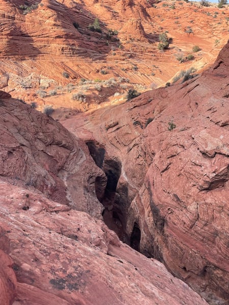 Narrow slot canyon carved through layered red sandstone formations near Kanab, Utah, viewed from above the canyon rim. — The Wave Trail, Kanab & The Wave