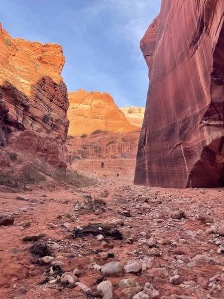 Towering red sandstone cliffs frame a narrow canyon floor in the Utah desert near Kanab. — The Wave Trail, Kanab & The Wave