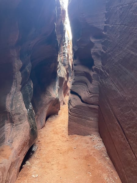 Narrow slot canyon with soaring red rock walls and light streaming from above, viewed from the canyon floor trail. — The Wave Trail, Kanab & The Wave
