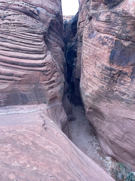 Narrow sandstone slot canyon with layered purple and red rock walls viewed from the canyon floor. — The Wave Trail, Kanab & The Wave