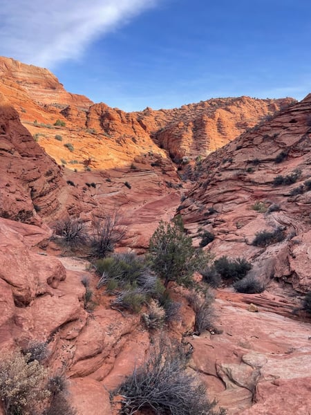 Red rock canyon with layered sandstone formations and sparse desert vegetation under clear blue sky near Kanab, Utah. — The Wave Trail, Kanab & The Wave