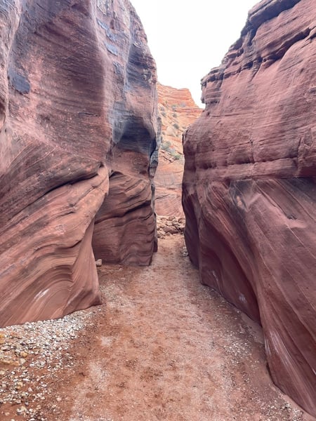 Narrow slot canyon with towering red-purple sandstone walls viewed from ground level along a hiking trail. — The Wave Trail, Kanab & The Wave