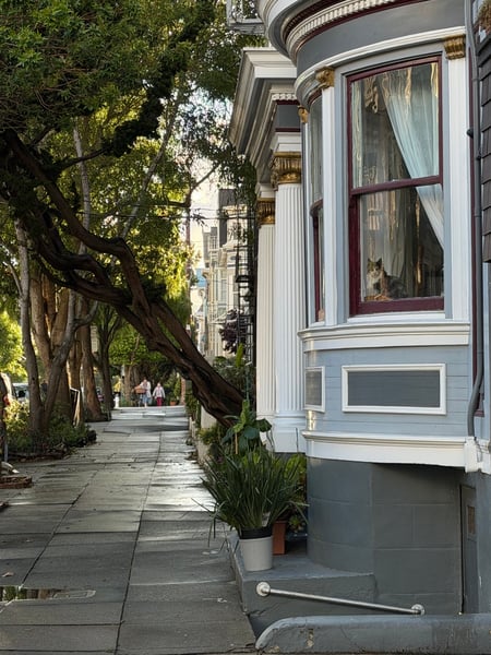 A traveler's photo spot in Haight-Ashbury, San Francisco