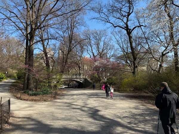 A traveler's photo spot in Manhattan Community Board 8, New York City