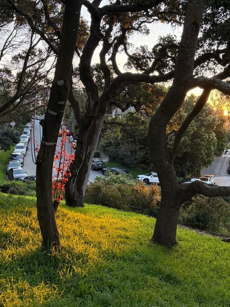 A traveler's photo spot in Haight-Ashbury, San Francisco