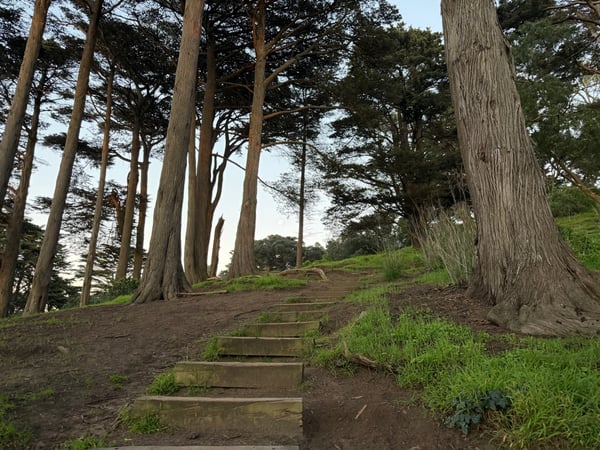 A traveler's photo spot in Haight-Ashbury, San Francisco