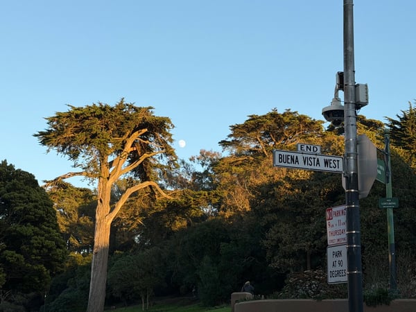 A traveler's photo spot in Haight-Ashbury, San Francisco