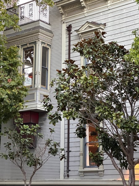 Victorian-style residential building with ornate bay window and balcony railing, framed by mature landscaping on Scott… — Haight-Ashbury, San Francisco