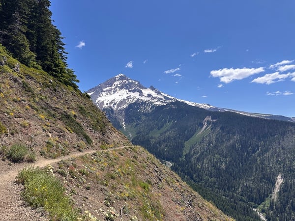 Snow-capped Mount Hood viewed from Timberline Trail with forested valley and volcanic peak in summer. — Columbia River Gorge