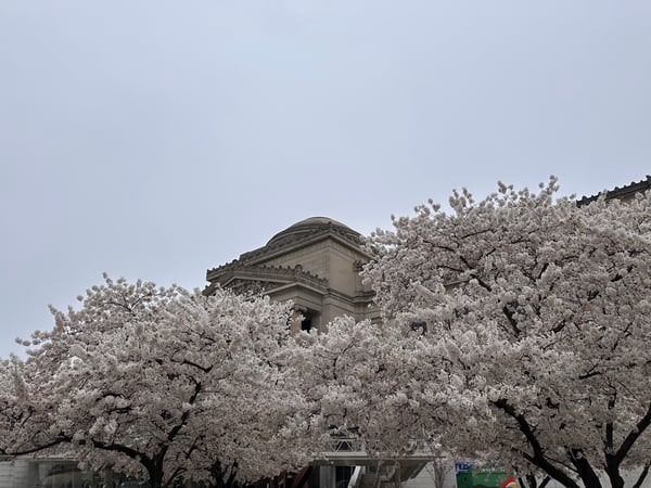 A traveler's photo spot in New York City