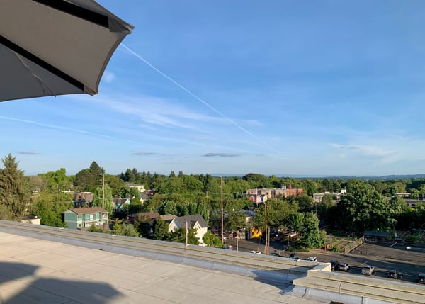 Residential neighborhood with tree-lined streets viewed from an elevated rooftop or deck on a clear day. — Buckman, Portland