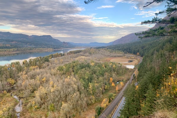 River valley with forested slopes and distant mountains viewed from an elevated overlook in autumn. — Mount Hood National Forest, Columbia River Gorge