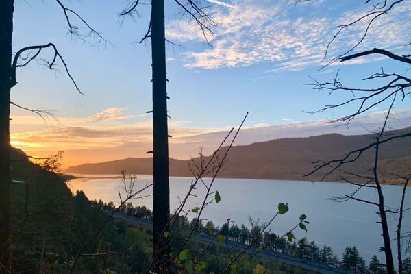 Alpine lake at sunset framed by evergreen forest and bare tree branches from a hillside overlook. — Mount Hood National Forest, Columbia River Gorge