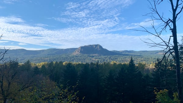 Distant volcanic peak surrounded by dense coniferous forest viewed from a forested hillside overlooking the valley. — Mount Hood National Forest, Columbia River Gorge