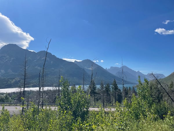 Alpine lake surrounded by mountains with wildflower meadow and burned forest in foreground during summer in Glacier… — Glacier National Park