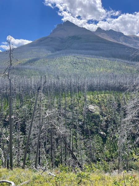 A traveler's photo spot in Improvement District No. 04, Glacier National Park