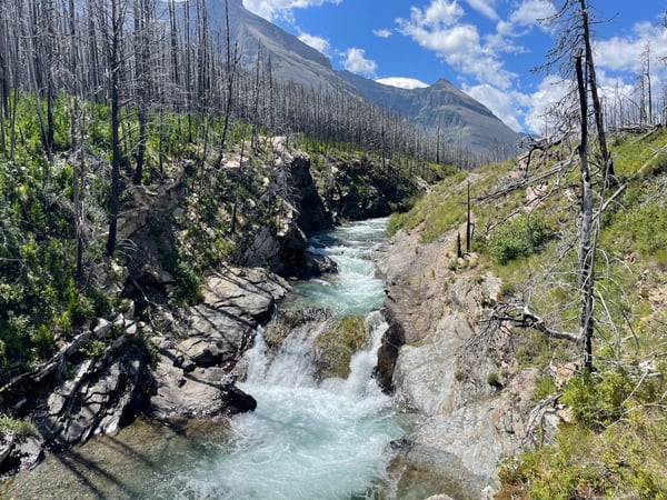 A traveler's photo spot in Improvement District No. 04, Glacier National Park
